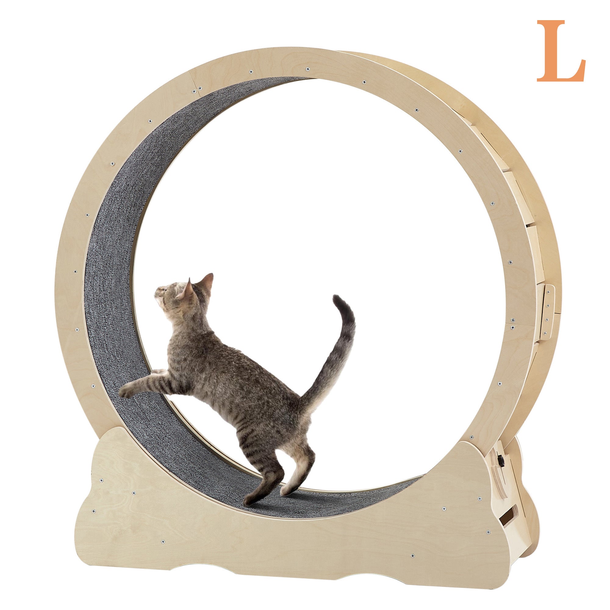 Accordion Cat Toy Interactive Cat Toy Cat Scratcher with Bell Magnetic Cat Toy Durable Cat Toy Scratch-Resistant Cat Toy Corrugated Paper Cat Toy Fun Cat Toy Indoor Cat Exercise Toy Unique Cat Toy
burrow bed for cats
Cat bed
pet accessories
Cat Exercise Wheels - Indoor Cat Treadmill/safe
quiet&amp; space-saving design for active cats