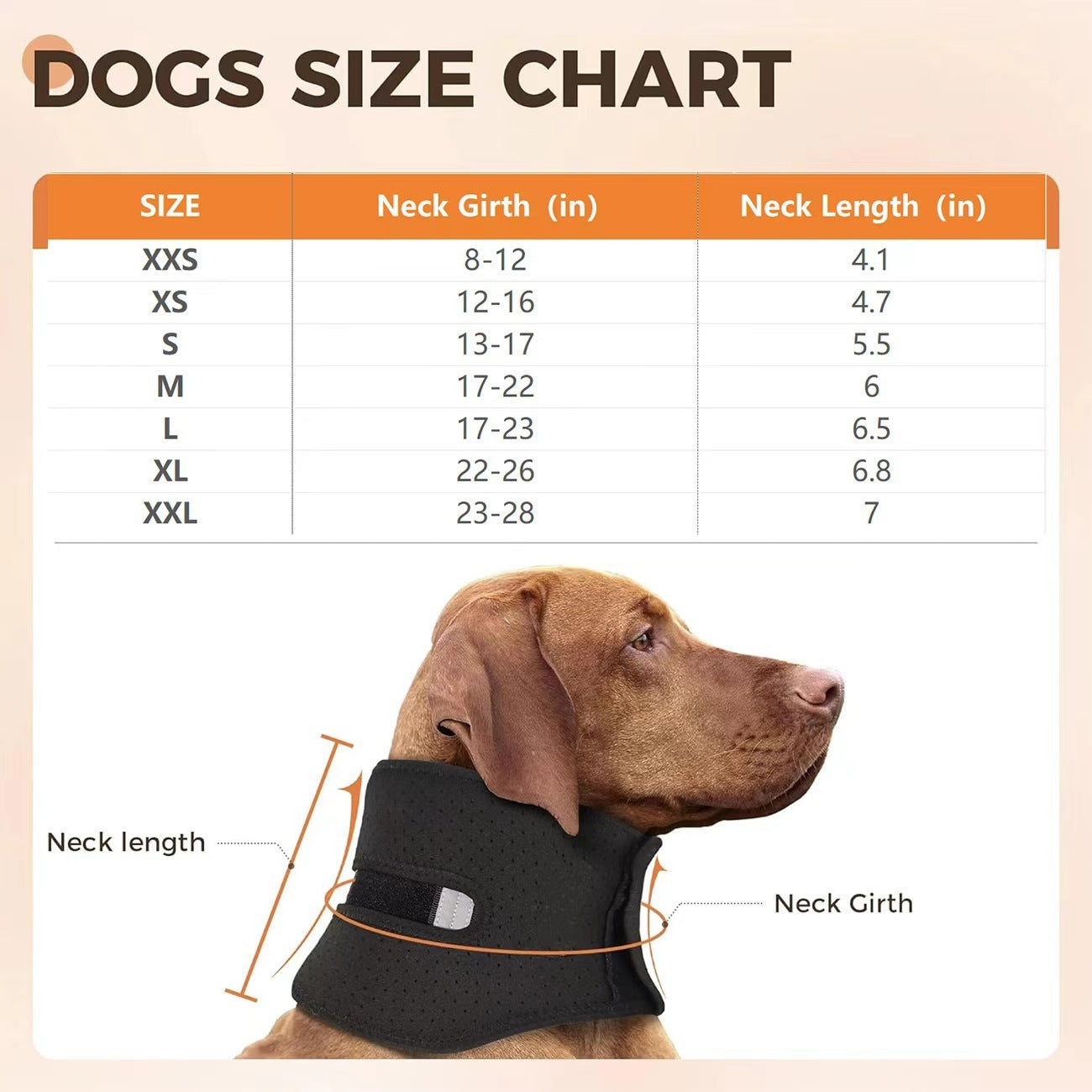 reflective dog brace
pet neck support
dog neck injury support
Dog neck brace
dog injury recovery
dog cervical brace
dog brace for neck
cervical support for dogs
adjustable dog neck brace.