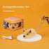 Electric Little Mouse Toy
pet accessories
dog toys
pet toys
cat toys