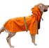 Spring and summer new dog raincoat waterproof cape