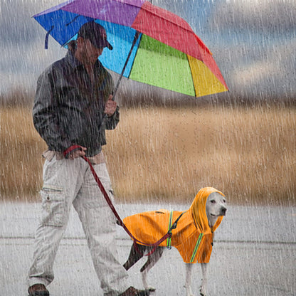 Spring and summer new dog raincoat waterproof cape