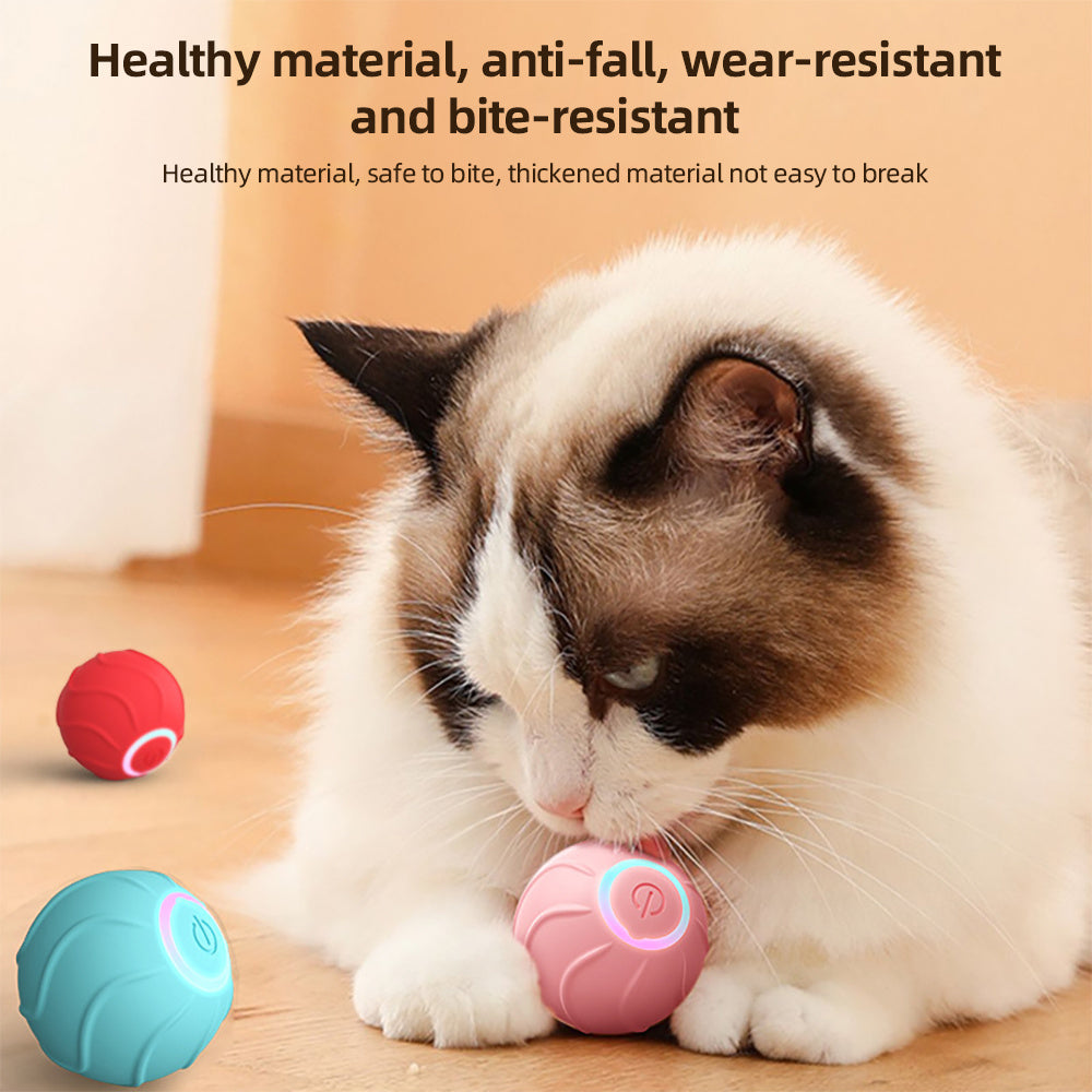 Funny Jumping Interactive For Cats
pet accessories
cat toys
dog toys
pet toys
cat ball jamping