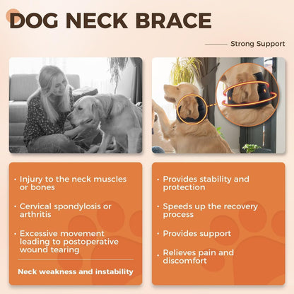 reflective dog brace
pet neck support
dog neck injury support
Dog neck brace
dog injury recovery
dog cervical brace
dog brace for neck
cervical support for dogs
adjustable dog neck brace.