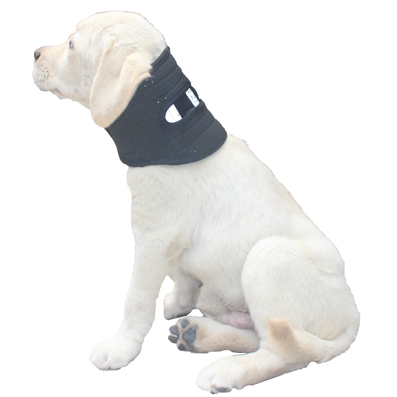 reflective dog brace
pet neck support
dog neck injury support
Dog neck brace
dog injury recovery
dog cervical brace
dog brace for neck
cervical support for dogs
adjustable dog neck brace.