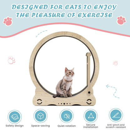 Accordion Cat Toy Interactive Cat Toy Cat Scratcher with Bell Magnetic Cat Toy Durable Cat Toy Scratch-Resistant Cat Toy Corrugated Paper Cat Toy Fun Cat Toy Indoor Cat Exercise Toy Unique Cat Toy
burrow bed for cats
Cat bed
pet accessories
Cat Exercise Wheels - Indoor Cat Treadmill/safe
quiet&amp; space-saving design for active cats