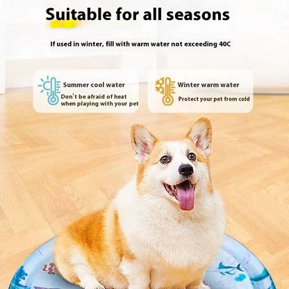 Water Bed Cushion Ice Pad Dog Sleeping
cat toys
pet toys
dog toys
Cat bed
fluffy cat bed
washable cat bed
soft cat bed
donut cat bed