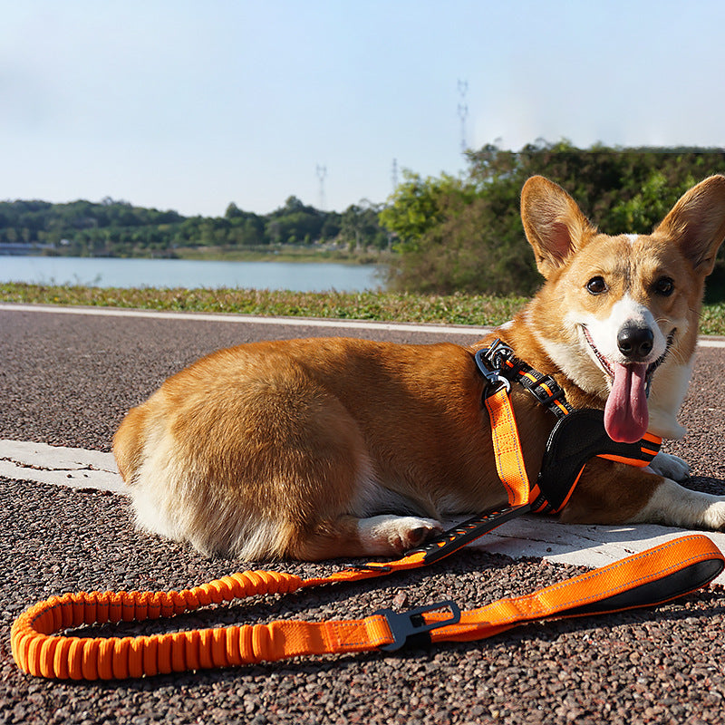 Pet Hand Holding Rope Buffer Retractable Reflective Traction Belt