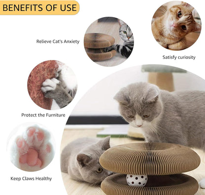 
Accordion Cat Toy Interactive Cat Toy Cat Scratcher with Bell Magnetic Cat Toy Durable Cat Toy Scratch-Resistant Cat Toy Corrugated Paper Cat Toy Fun Cat Toy Indoor Cat Exercise Toy Unique Cat Toy