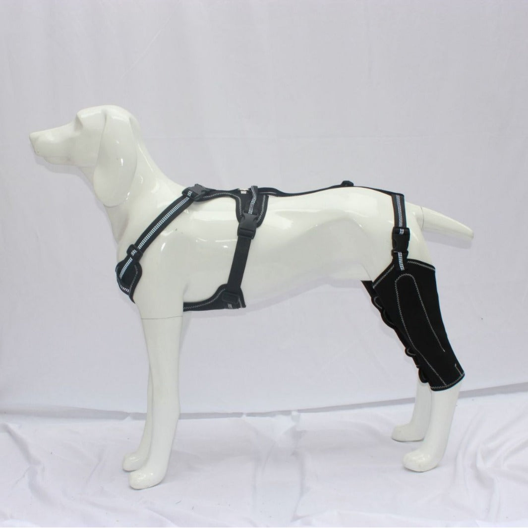 Pet Protective Gear Dog Thigh Protective Sleeve Postoperative Auxiliary Leg Warmer Adjustable Metal Support