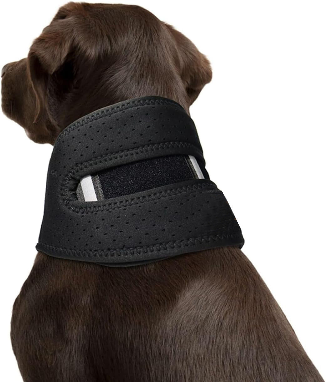 reflective dog brace
pet neck support
dog neck injury support
Dog neck brace
dog injury recovery
dog cervical brace
dog brace for neck
cervical support for dogs
adjustable dog neck brace.