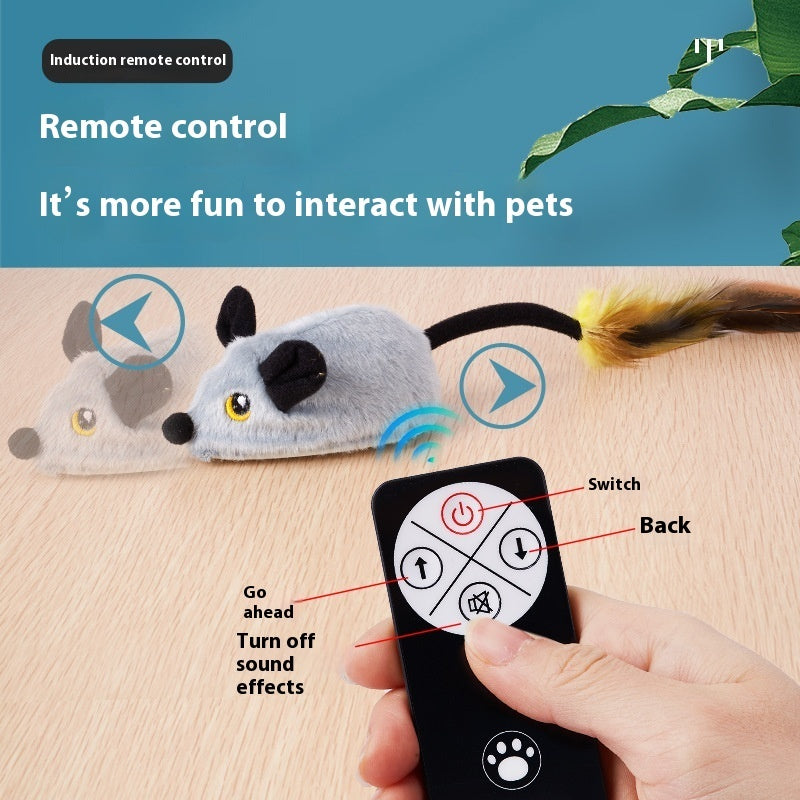 Electric Little Mouse Toy
pet accessories
dog toys
pet toys
cat toys