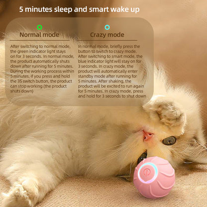 Funny Jumping Interactive For Cats
pet accessories
cat toys
dog toys
pet toys
cat ball jamping