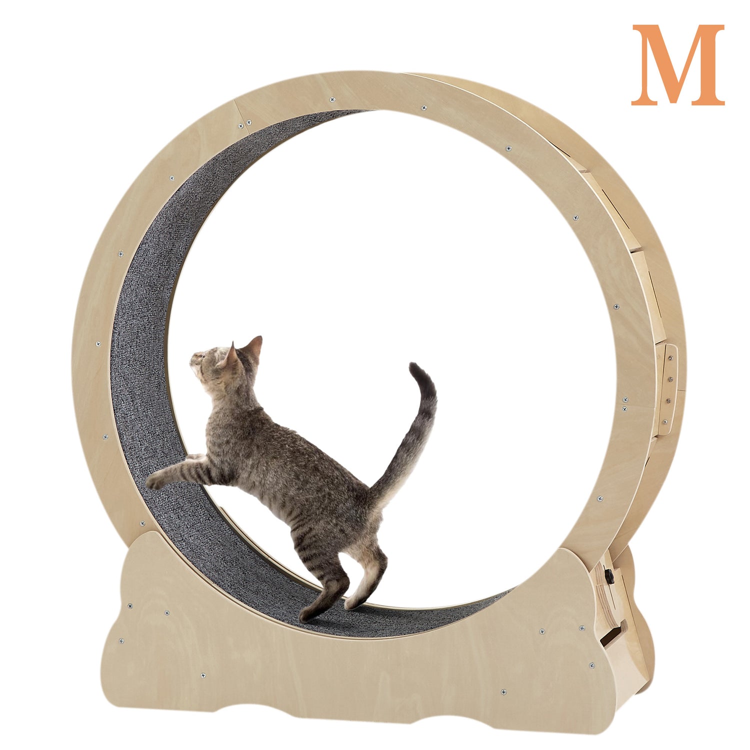 Accordion Cat Toy Interactive Cat Toy Cat Scratcher with Bell Magnetic Cat Toy Durable Cat Toy Scratch-Resistant Cat Toy Corrugated Paper Cat Toy Fun Cat Toy Indoor Cat Exercise Toy Unique Cat Toy
burrow bed for cats
Cat bed
pet accessories
Cat Exercise Wheels - Indoor Cat Treadmill/safe
quiet&amp; space-saving design for active cats