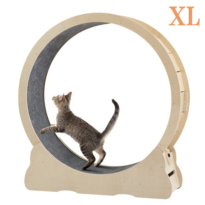 Accordion Cat Toy Interactive Cat Toy Cat Scratcher with Bell Magnetic Cat Toy Durable Cat Toy Scratch-Resistant Cat Toy Corrugated Paper Cat Toy Fun Cat Toy Indoor Cat Exercise Toy Unique Cat Toy
burrow bed for cats
Cat bed
pet accessories
Cat Exercise Wheels - Indoor Cat Treadmill/safe
quiet&amp; space-saving design for active cats