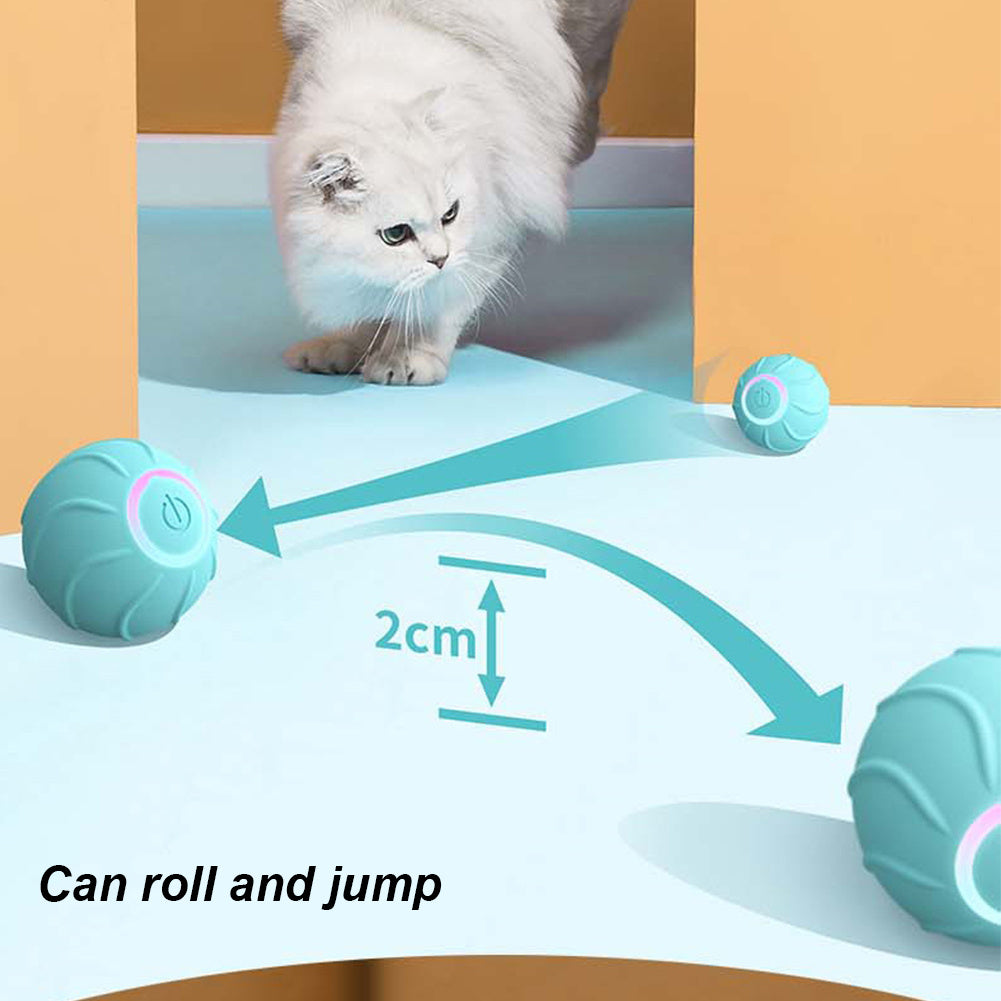 Funny Jumping Interactive For Cats
pet accessories
cat toys
dog toys
pet toys
cat ball jamping