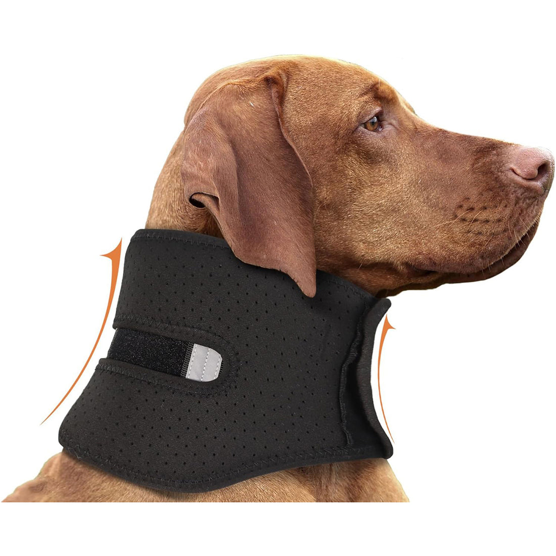 reflective dog brace
pet neck support
dog neck injury support
Dog neck brace
dog injury recovery
dog cervical brace
dog brace for neck
cervical support for dogs
adjustable dog neck brace.