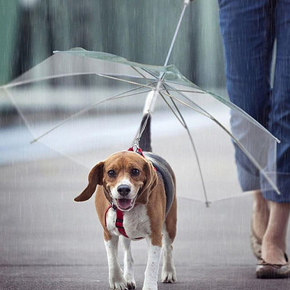 Pet Umbrella Leash - Transparent Waterproof Dog Umbrella with Leash Attachment