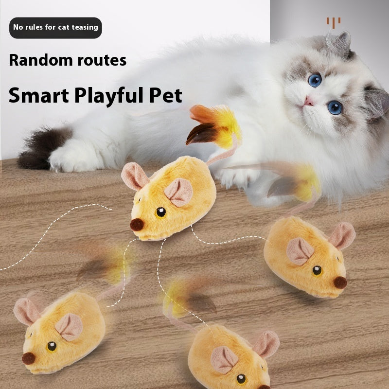 Electric Little Mouse Toy
pet accessories
dog toys
pet toys
cat toys