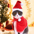 Pet Christmas Suit Cat Dog Cloak Hat
pet accessories